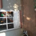 2014-06-03 13.23.36