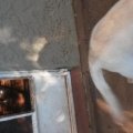 2014-06-03 13.23.46